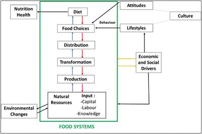 Nutritional and Food Composition Survey of Major Pulses Toward Healthy, Sustainable, and Biofortified Diets